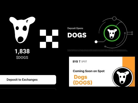 $DOGS Airdrop Withdrawal To OKX & Bybit Exchange Guide