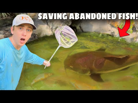 I Saved Abandoned Fish LIVING in Green Slime Pond!