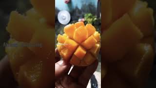 Mango 🥭 #ytshorts #mangolover #shortsvideo #foodie #reels