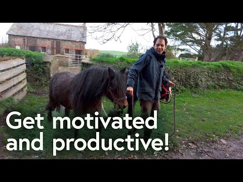 How to be productive and motivated: My recommendations