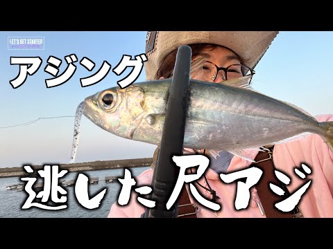 🔰アジング【逃した尺鯵】 Vlog.127 Take her AJING Fishing