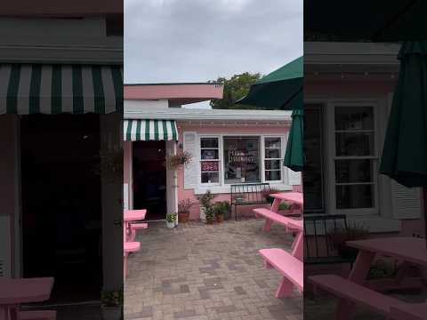 Pink Dinghy ViBe District | Local Restaurant Virginia Beach #shorts #localbusiness #virginiabeach