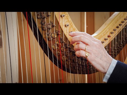 Introducing the Double Action Harp