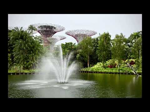 Singapore:Gardens by the Bay 新加坡濱海灣花園 #singaporetravel #旅遊新加坡 #gardensbythebay #濱海灣花園