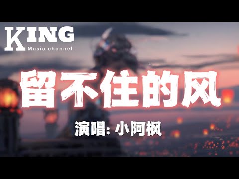 留不住的风-小阿柯【你是我留不住的风，填不满的空，是我流不干的眼泪，治不好的痛。】［动态歌词］