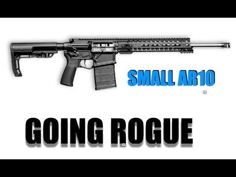 Smallest AR10 Yet: POF Rogue