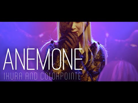 【いとくとら】ANEMONE 踊ってみた【カラーポワント】