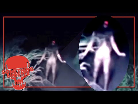 More Scary Skinwalker Videos