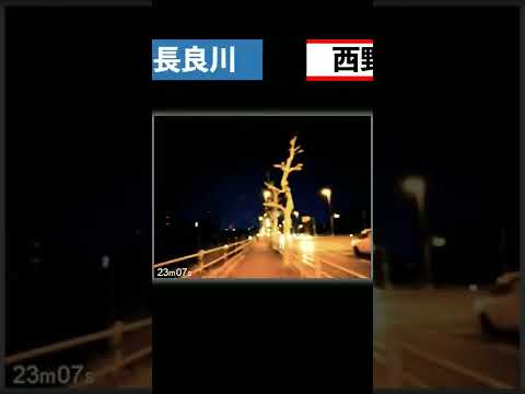 岐阜大学からJR岐阜駅まで夜に駆ける【自転車】