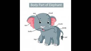 Name of body parts || Animals body parts #bodypartsnameforkids #kidstime #englishvocabulary #shorts