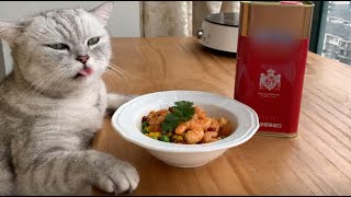 【料理猫王Cooking cat】猫咪炒虾也太热血了吧！看得我热血沸腾