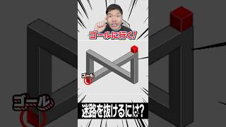 錯視に惑わされるな！迷路パズル😤 #Shorts #パズル