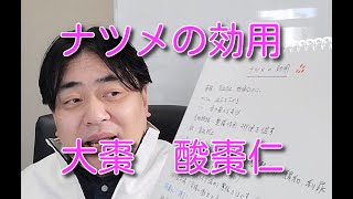 ナツメ（大棗・酸棗仁）の効用について