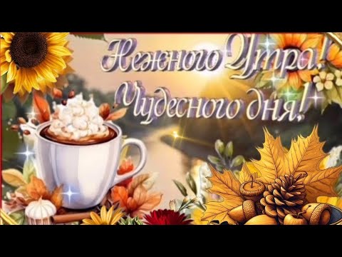 Музыкальное пожелание 🍁🎶☕ ХОРОШЕГО ДНЯ И ЧУДЕСНОГО НАСТРОЕНИЯ