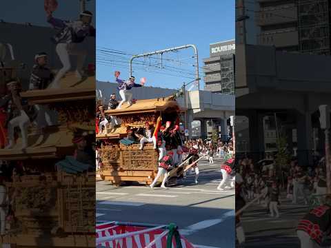 東岸和田だんじり祭 土生町やり回し #祭り #だんじり #東岸和田だんじり