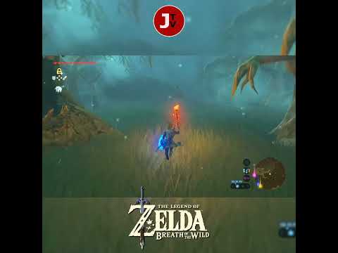 Funny Bug/Glitch on The Legend of Zelda Breath of the Wild #thelegendofzeldabreathofthewild