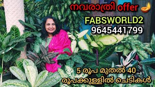 Offer plant sale malayalam / Balsam,Aglonima, Calathea, hanging plants,pilea,coleus etc #plantsale