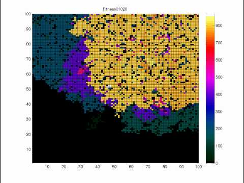 Evolutionary showdown: fitness vs. adaptation