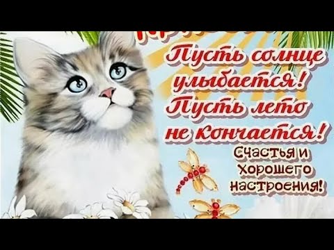 Счастливого июля, друзья!!! #позитив