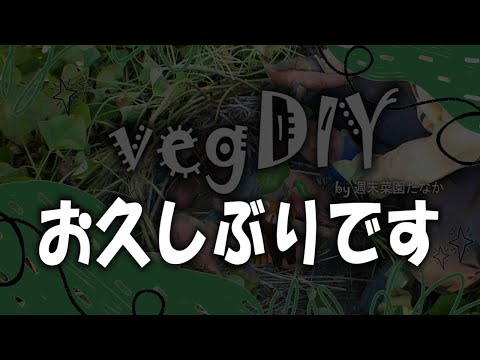 お久しぶりです メンタル/フィジカル弱ってました、、、久々の畑仕事・・・良いなって