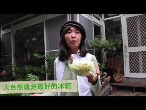 林惠蘭老師教你三分鐘搞定高麗菜保鮮 快去買菜救菜農  還可以做年節應景盆栽 【領飛無限】