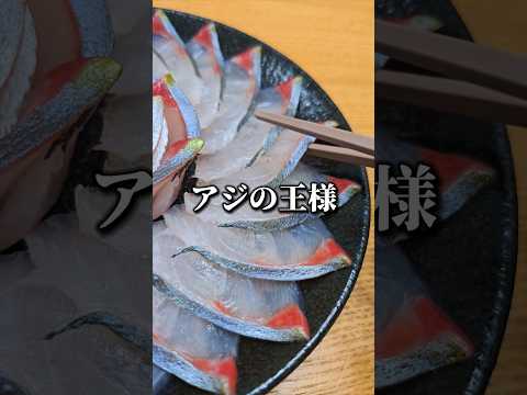 アジの王様「シマアジ」刺身が美味すぎた　#アジ #高級魚 #捌き方 #sashimi