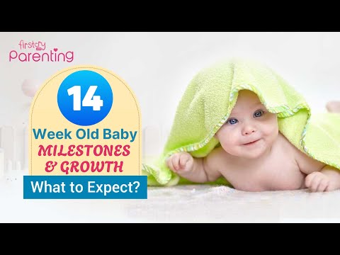 14 Week Old Baby: Development and Milestones | 3 Month Old Baby Growth & Development