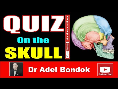 Quiz on the Skull and Mandible, Dr Adel Bondok Anatomy Channel