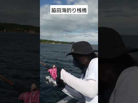 脇田海釣り桟橋　カワハギ調査に来たけどまだ早かったみたい7月4日 #fishing