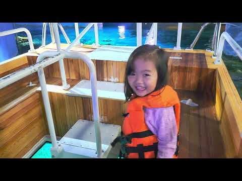 พาลูกนั่งเรือในดงฉลามที่ Sealife Bangkok Siam Paragon