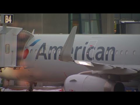 Tech issue temporarily grounds American Airlines flights