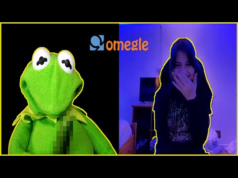 Kermit asserts his dominance on Omegle