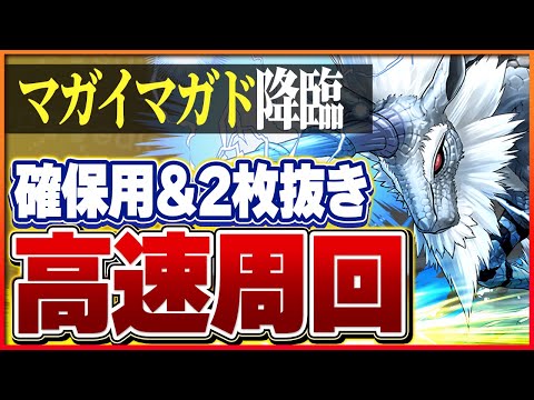 【マガイマガド降臨】キリンループで快適周回！マガイマガド確保用&2枚抜き編成！【パズドラ】