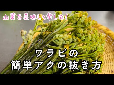 【簡単！ワラビのアクの抜き方】山菜を美味しく楽しむ！