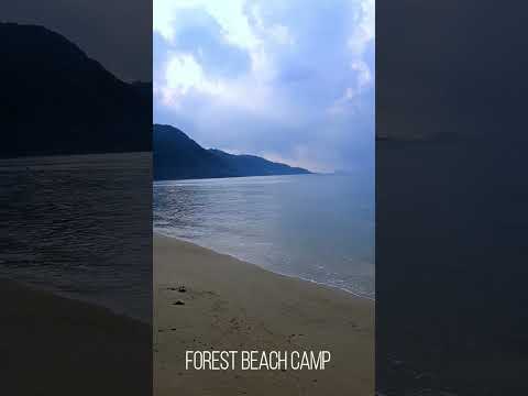 #ForestBeachCamp #เกาะช้าง #camper #camping