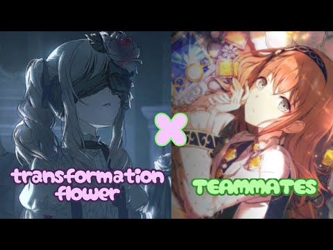 (PROJECT SEKAI) Bake no Hana/Flower of Transformation x Teammates (MIX/MASHUP)