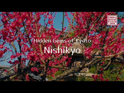 Hidden Gems of Kyoto  Nishikyo