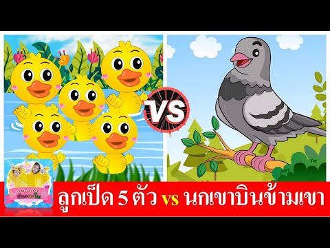 ลูกเป็ด 5 ตัว vs นกเขาบินข้ามเขา