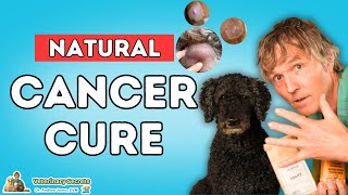 Can Natural Remedies Really Fight Pet Cancer? 5 Breakthrough Tips Every Pet Lover Needs to Know!