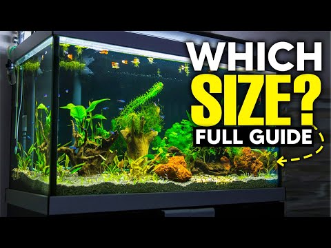 Aquarium Sizes -  What's The Perfect Size For YOU