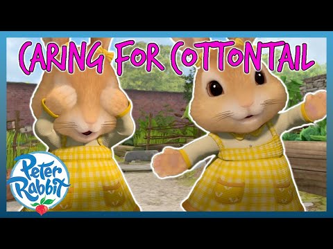 @OfficialPeterRabbit - 🐰🥰 Caring of Cottontail! 🥰🐰 | COTTONTAIL | Cartoons for Kids