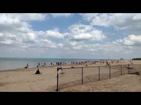 Montrose Dog Beach (Chicago)