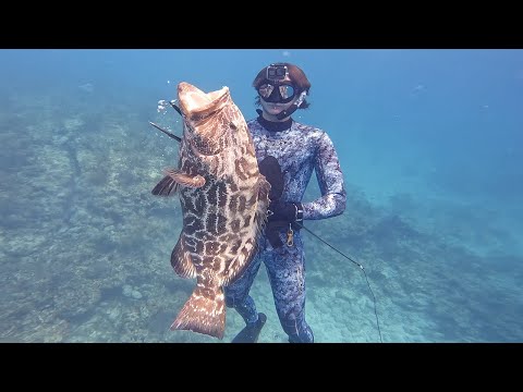 Unbelievable Key West Spearfishing | Early May + Clear Water