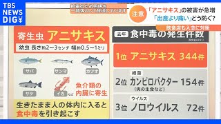 「胃の内側をアイスピックで突き上げられるような痛み…」 近年急増する「アニサキス」による食中毒　激痛を防ぐ対策は“細かくたたく”｜TBS NEWS DIG