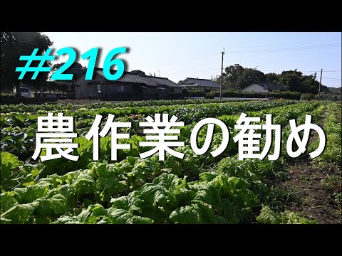 【家庭菜園】農作業が楽しい件　2024/11/13