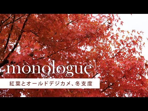 とある動画クリエイターの独り言〈VLOG-monologue〉紅葉とオールドデジカメ、そして冬支度。タイヤ交換しました