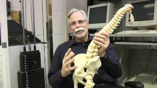 Waterloo's Dr. Spine, Stuart McGill