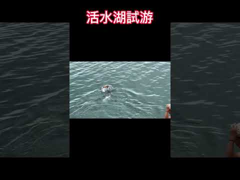 活水湖試游｜Living water lake swimming#shorts #swim #swimming #streetworkout