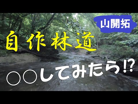 【山開拓】自作した林道をハイキングしてみた！【リクエスト動画】