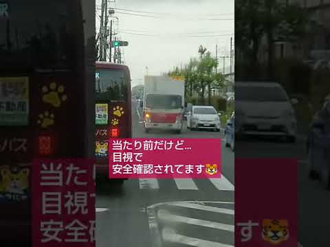 【プロドライバー】看板背負って頑張ってるドライバーもいる #shorts